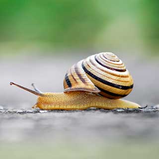 Property Insurance